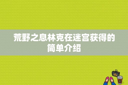 荒野之息林克在迷宫获得的简单介绍-图1