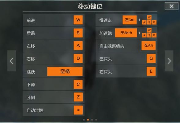 荒野求生pc版按键操作（荒野求生电脑版按键）-图3