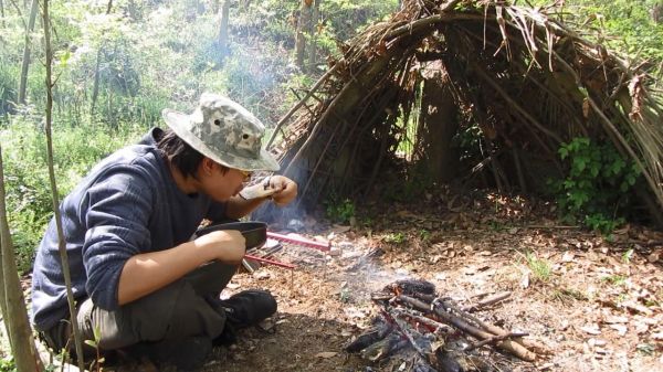 荒野求生中哪里找药草（荒野求生资源采集技巧）-图1