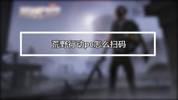 荒野行动pc扫码按钮（荒野行动怎么扫一扫）-图2