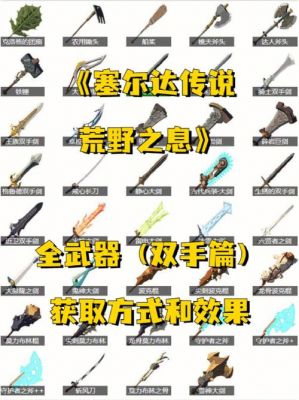 荒野之息武器加耐久（荒野之息武器耐久怎么修复?）-图2