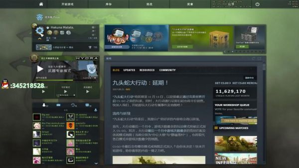 csgo萌新怎么玩（csgo新手怎么玩好）