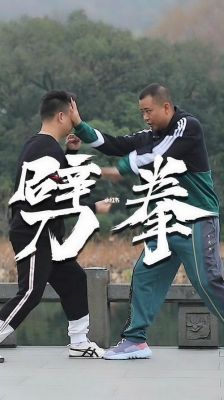 新手怎么玩一拳（一拳使用视频）-图1