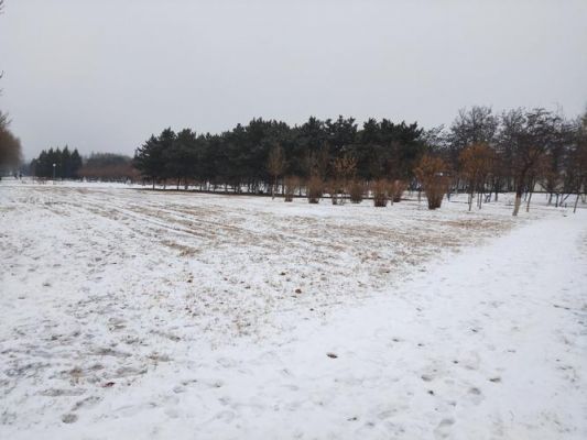 荒野出雪地（荒野雪景图片）-图2