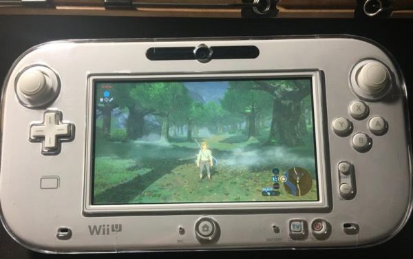 wiiu荒野之息秘籍（wiiu 荒野之息）-图2