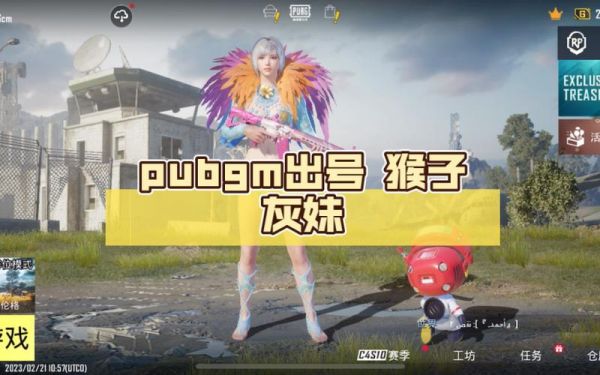 怎么玩国际服的猴子（pubg国际服猴子皮肤）-图1