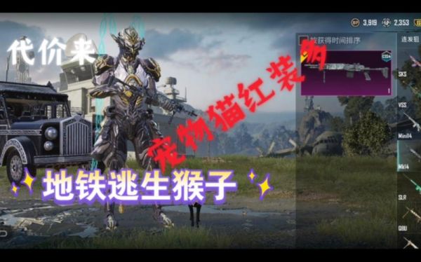 怎么玩国际服的猴子（pubg国际服猴子皮肤）-图2