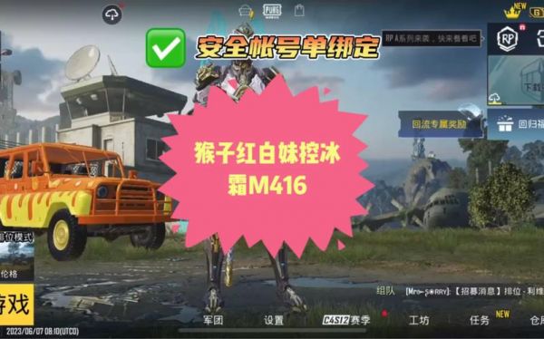 怎么玩国际服的猴子（pubg国际服猴子皮肤）-图3