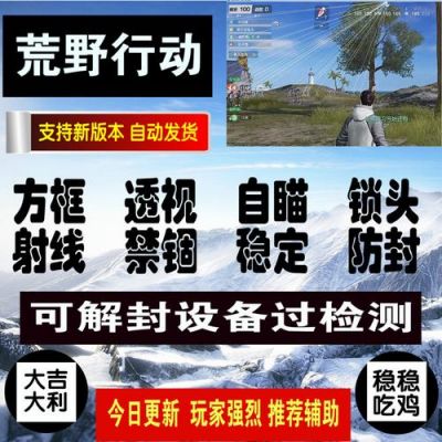 低价荒野行动辅助（荒野行动辅助官方网站）-图1