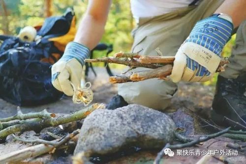 荒野求生种薄荷（荒野求生怎么种地）-图3