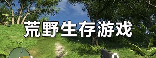 荒野求成pc版（荒野求生游戏百度百科）