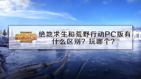 腾讯绝地求生和荒野行动（pubg和荒野行动）-图3