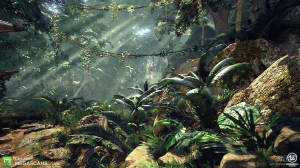 热带雨林怎么玩（热带雨林游戏怎么玩）-图3