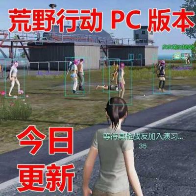 荒野行动pc裸体（荒野行动整局视频）-图2