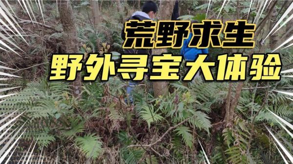 荒野可以不用手机号吗（荒野求生用不用实名认证）