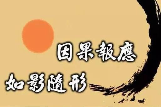 因果奇缘怎么玩的（因果缘谁知道是什么生肖）-图3