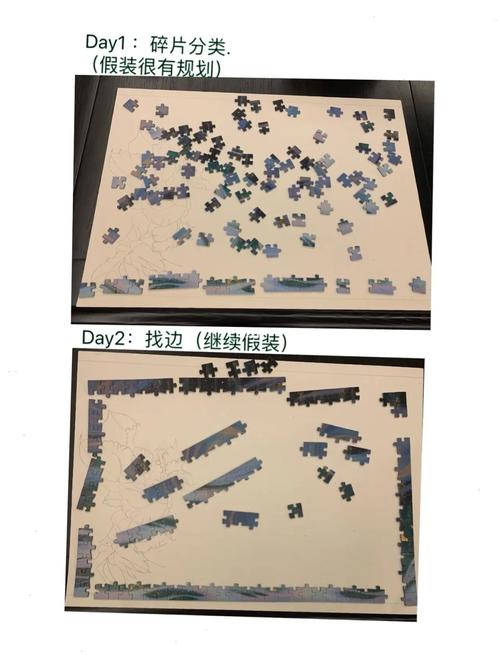 逃离荒野拼图（逃离荒野拼图教程）-图3