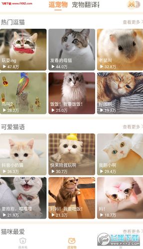 猫聊app怎么玩（聊猫怎么聊）-图2