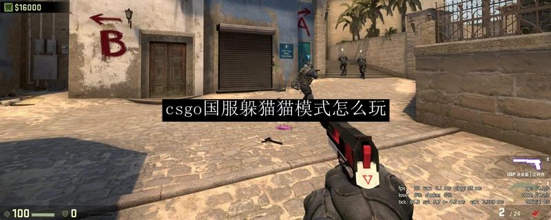 csgo国服怎么玩（csgo国服怎么玩躲猫猫模式）-图2