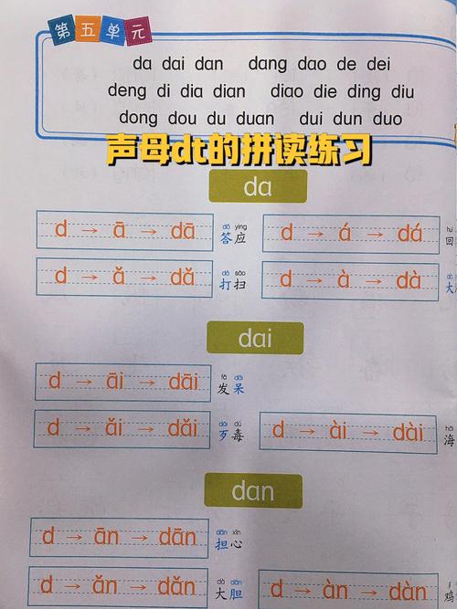 dt怎么玩（dt dt）-图1