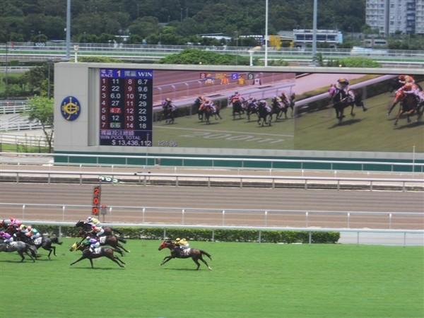 香港买马怎么玩（香港买马怎么玩法介绍）