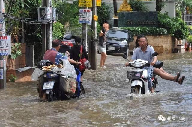 曼谷暴雨怎么玩（曼谷暴雨三点哪一点）-图1