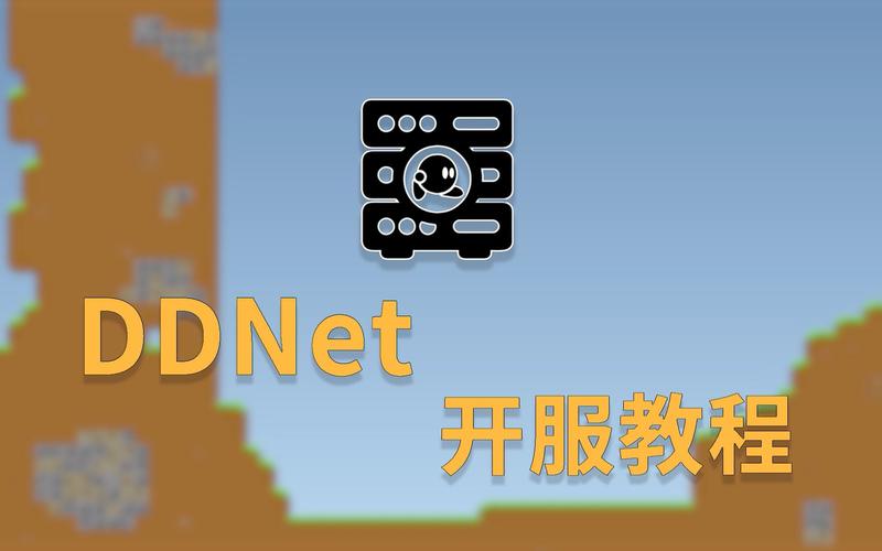 ddracenetwork怎么玩（ddracenetwork怎么联机）