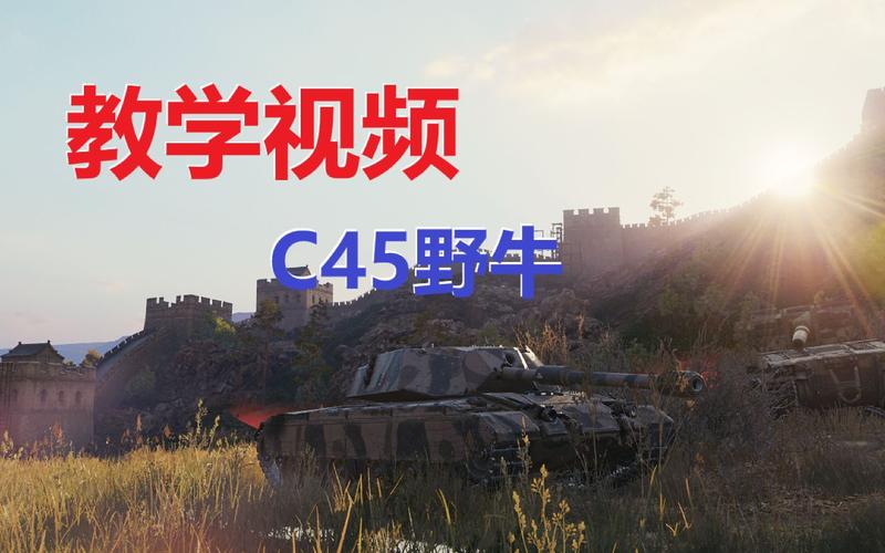 怎么玩野牛（c45野牛怎么玩）