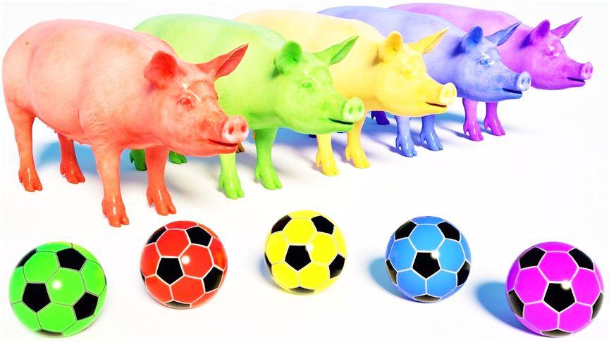 小猪足球怎么玩（足球 小猪）-图3