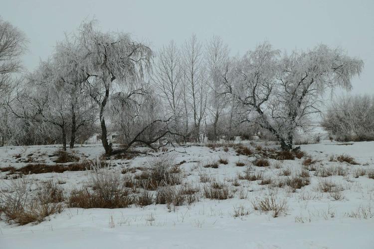 荒野雪原怎么玩（荒野雪原怎么玩视频）-图2