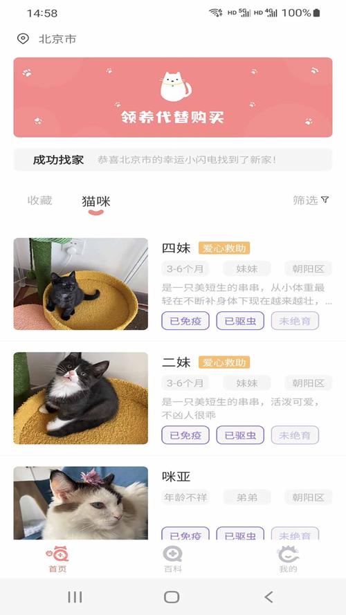 猫先生怎么玩（猫先生游戏解说）-图1