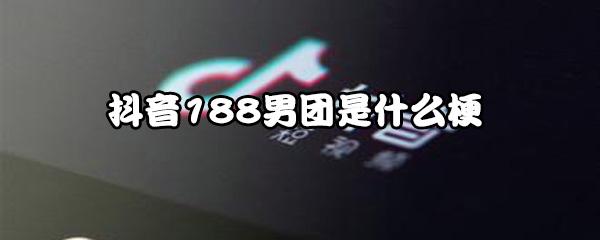 2648怎么玩的简单介绍