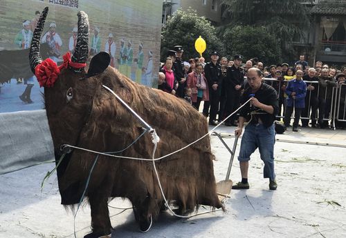 推牛是怎么玩（推牛十玩的技巧）