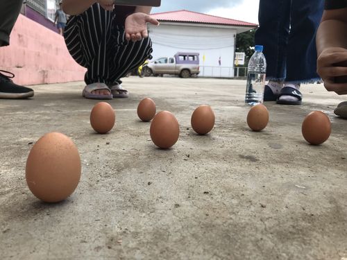 鸡蛋游戏怎么玩（鸡蛋道具怎么玩）-图3