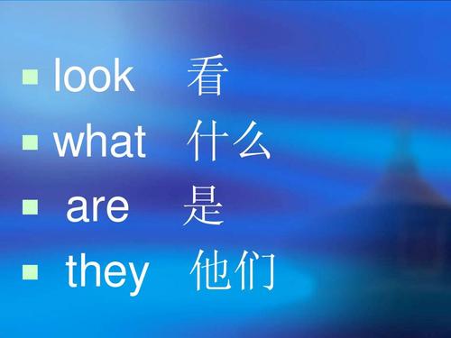 look怎么玩（look怎么使用）-图1