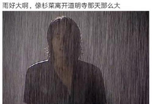 雨高怎么玩（雨高带什么秘卷）-图3