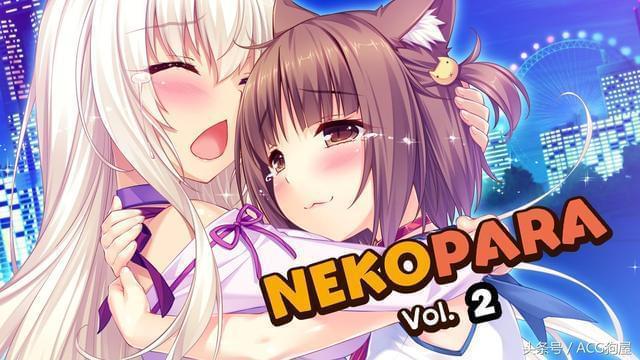 neko怎么玩（neko game）