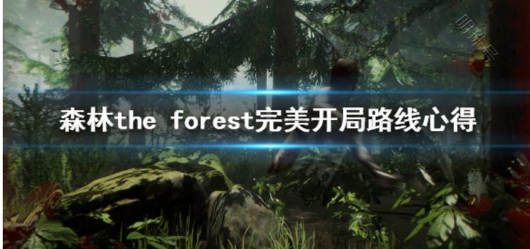 theforest怎么玩（theforest攻略流程）