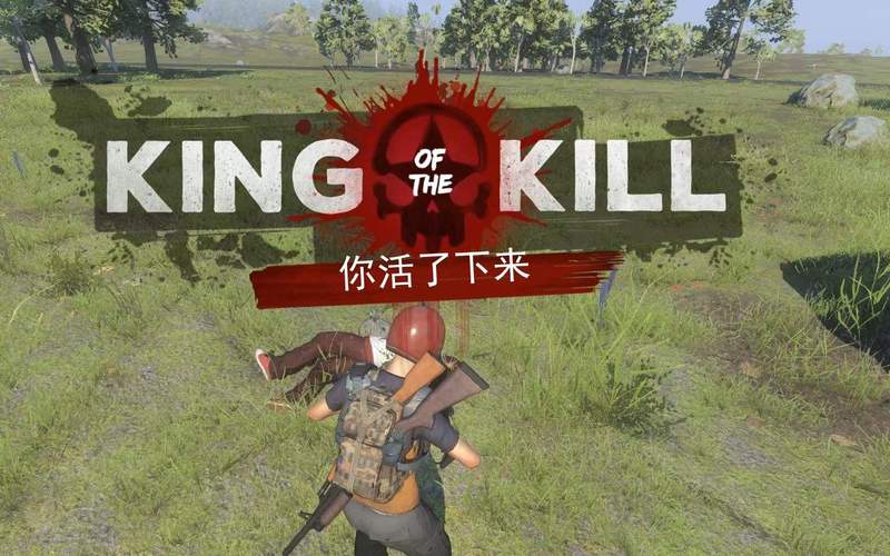 怎么玩h1z1不卡（h1z1玩法）