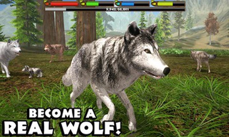 灰狼模拟怎么玩（灰狼模拟器无限经验版下载）-图1