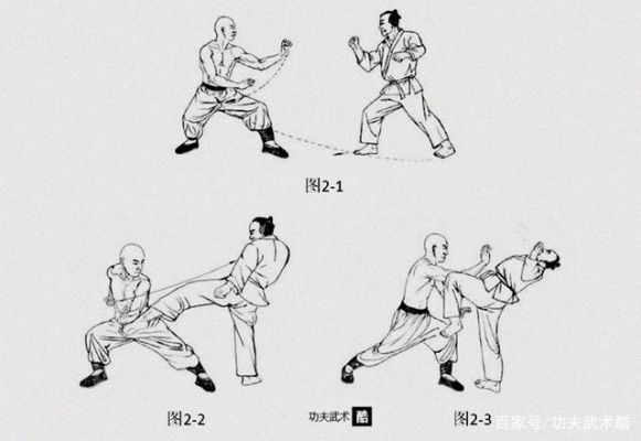 少林技能调虎离山冷却多少（少林虎拳教学视频）-图1