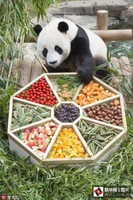 关于佛跳墙多少钱一份熊猫的信息-图2