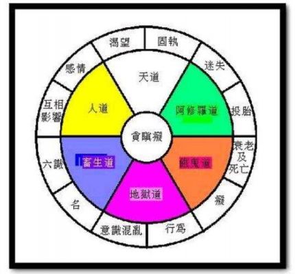 六道轮回多少钱（六道轮回多少钱一瓶）-图2