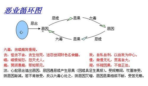 因果奇缘多少关（因果缘是什么意思）-图3