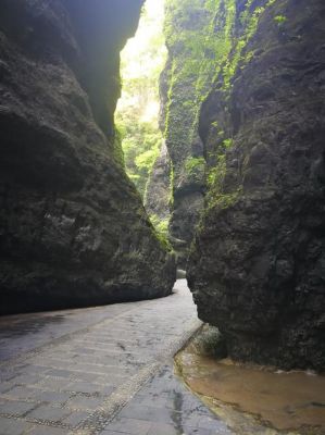 幽暗峡谷最高多少分（幽暗峡谷近道怎么飞）-图3