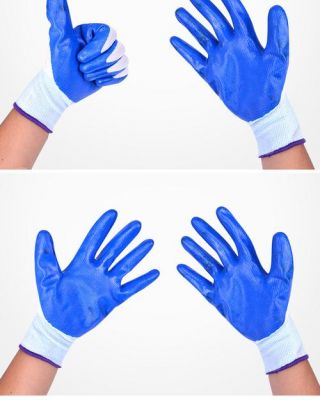 蓝手套多少钱（蓝手套和白手套）