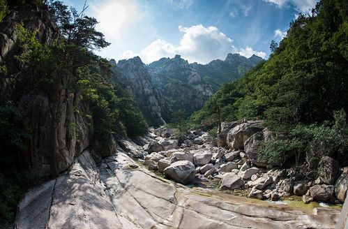 金刚山多少米（金刚山上）