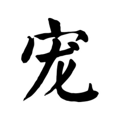 宠多少画（宠字的笔顺）-图3