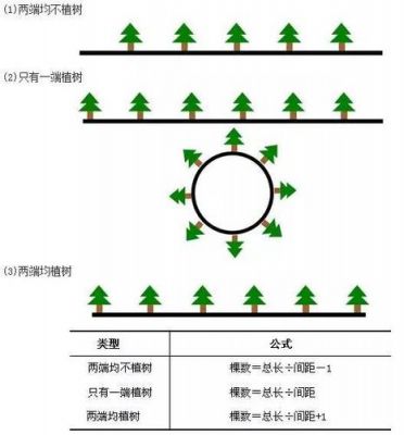 种树要距离多少（种树最好的距离）-图3