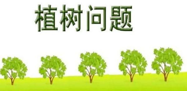 种树要距离多少（种树最好的距离）